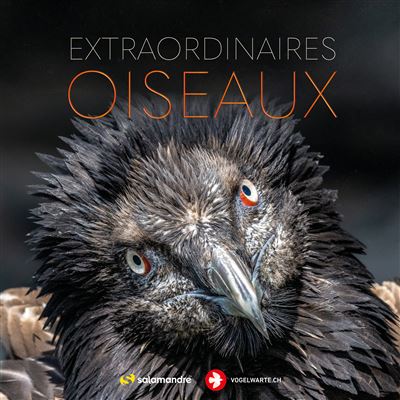 Extraordinaires Oiseaux